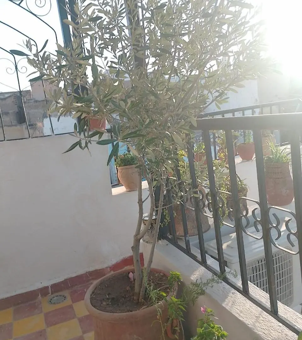 Riad Drissia Panoramic Fes 0*,