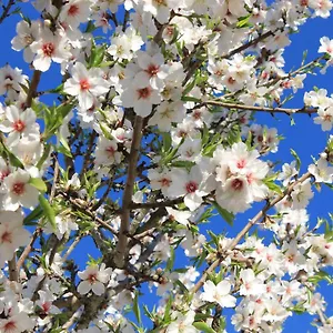 https://casinha-dos-avos-lagos.hotelaalgarve.com