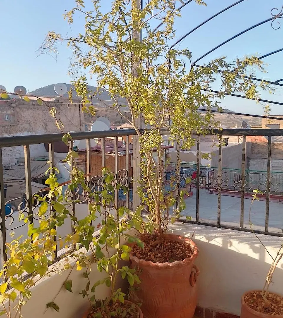Riad Drissia Panoramic Fes 0*,  Morocco